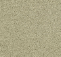 Ковровая плитка Interface Polichrome Solid 4266017 Turtledove фото 1 | FLOORDEALER